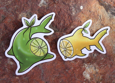 Citrus Sharks
